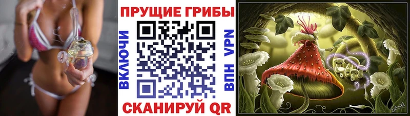 MEGA зеркало  Калининск  Псилоцибиновые грибы Psilocybe 